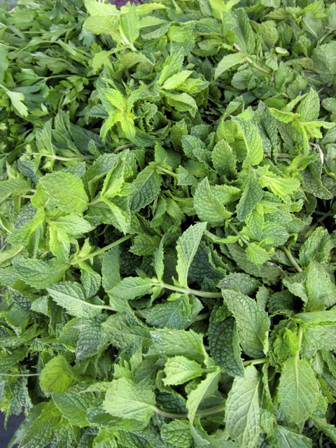 mint