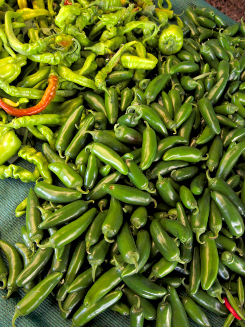 jalapeno