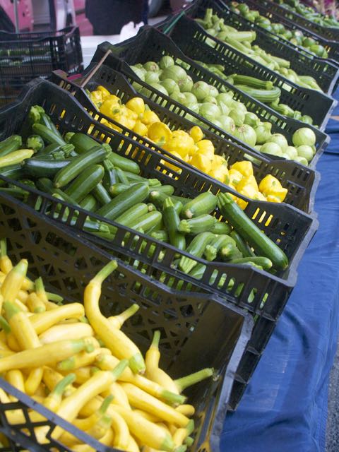 summer squash