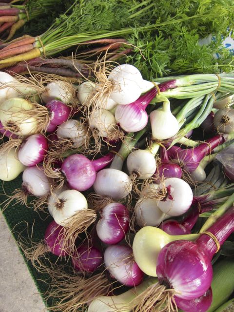 sweet red and white onions