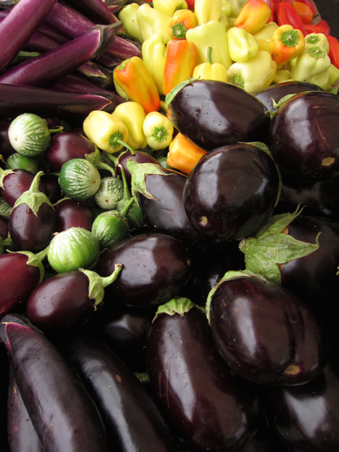 eggplant at farmer's market
