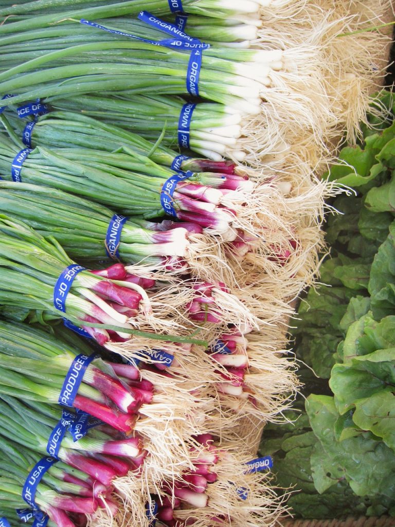 red green onions at the farmers market