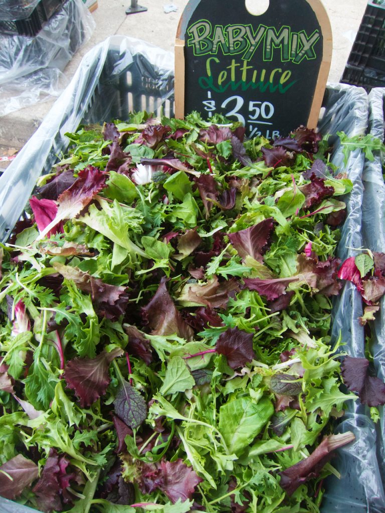 lettuce at the farmers market