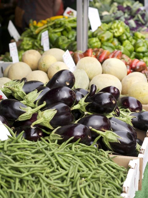 eggplant