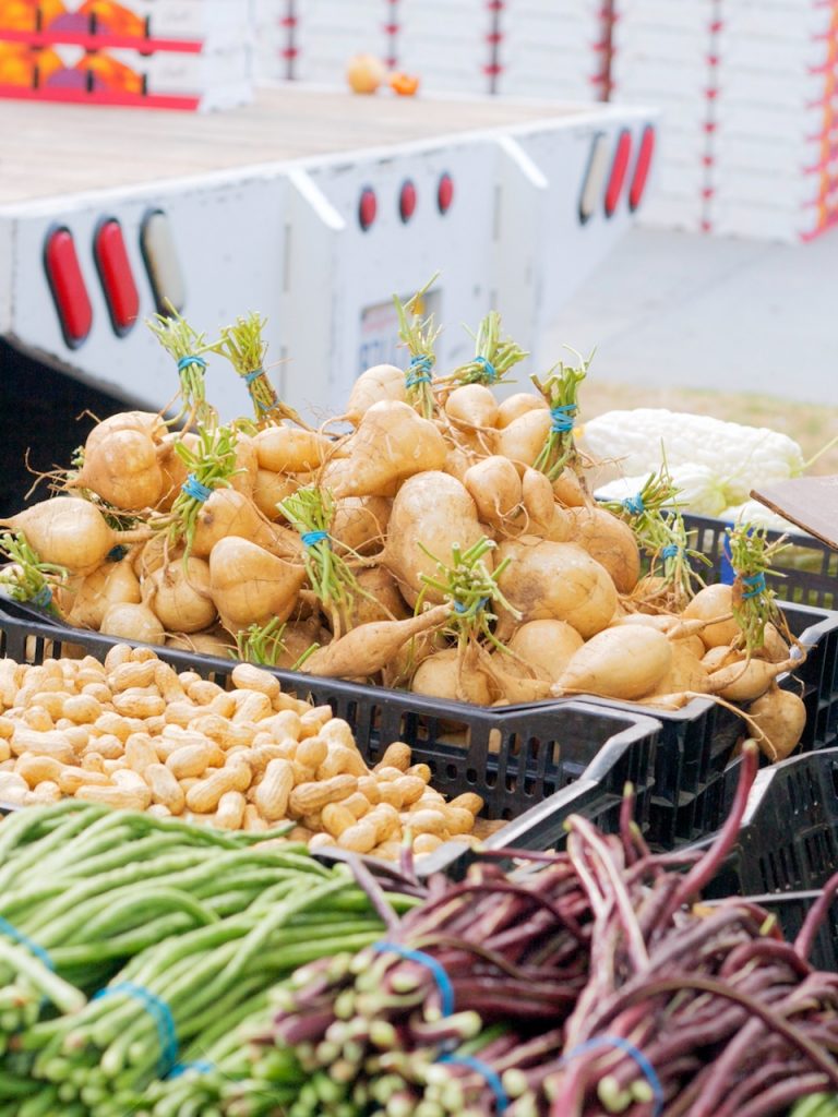 Copycat Rainforest Cafe Lettuce Wraps and Thai Chicken Salad Dolly’s