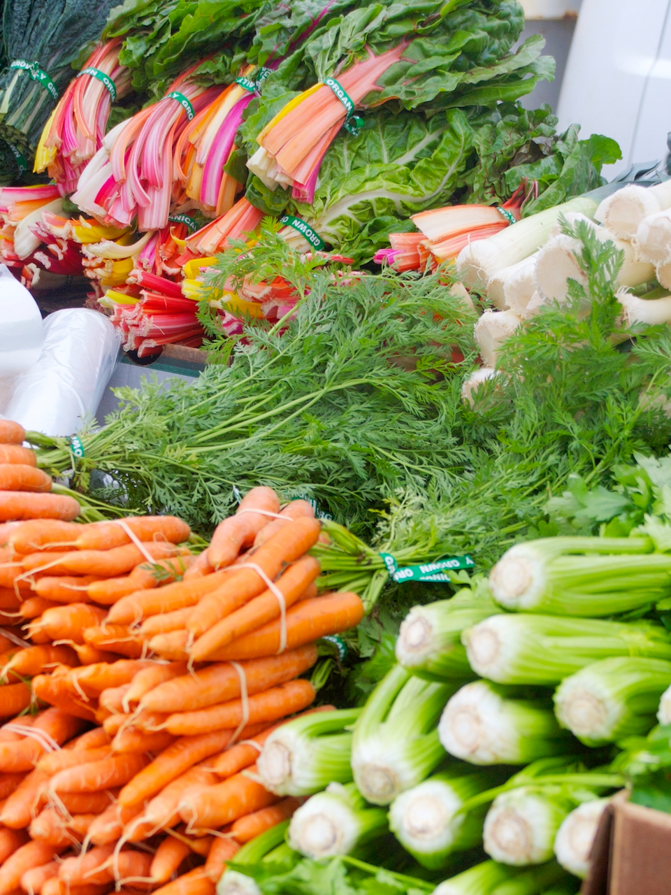 Copycat Rainforest Cafe Lettuce Wraps and Thai Chicken Salad Dolly’s