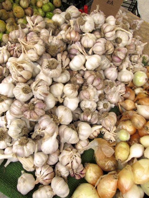 garlic
