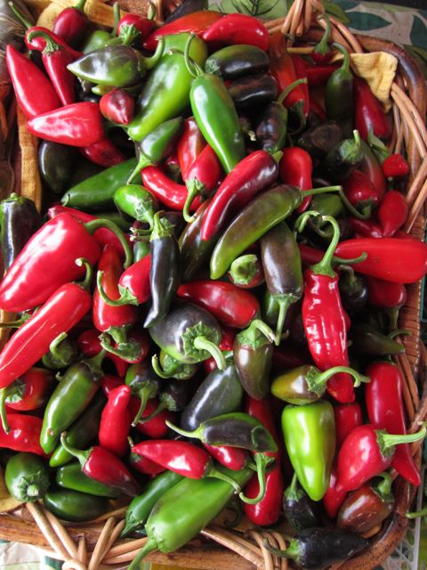 hot peppers