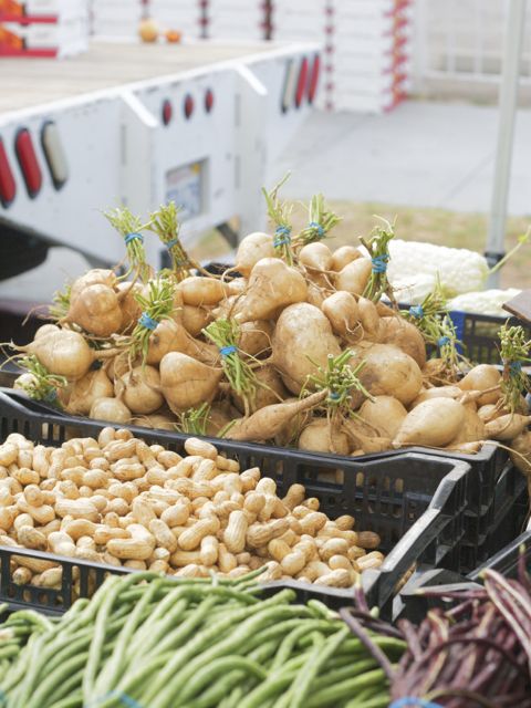 jicama and peanuts