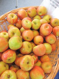 honey crisp apples at the farmers market