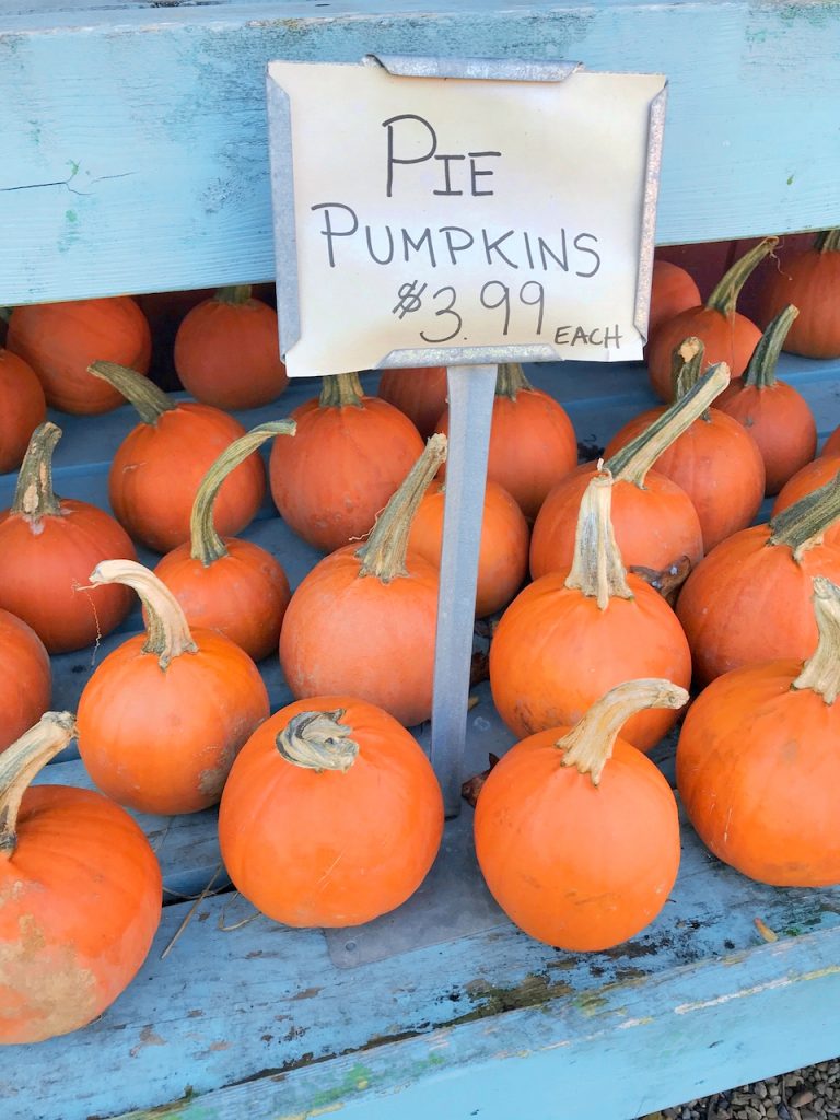 pie pumpkins