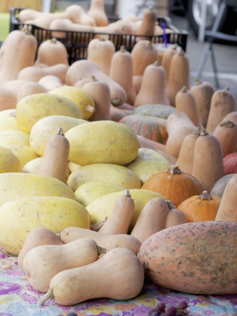 butternut squash