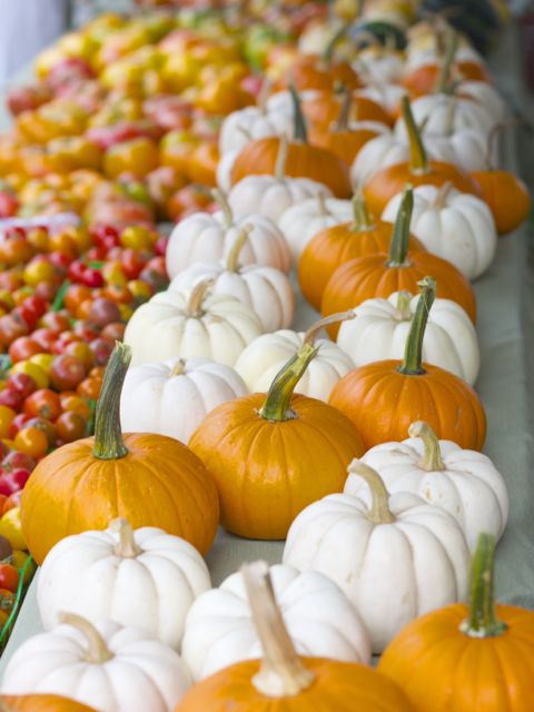 pumpkins