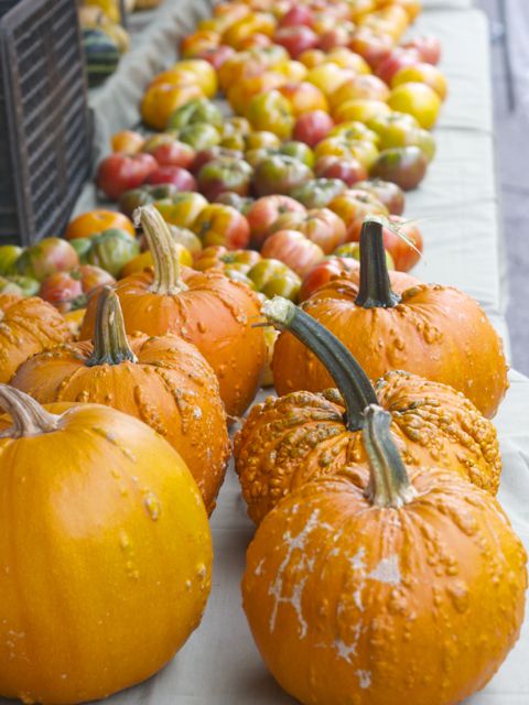 pumpkins at the farmers market