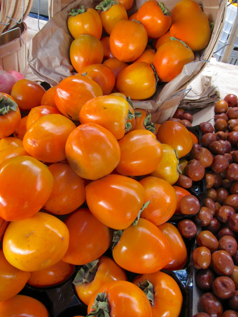 Hachiya persimmon