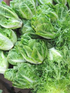 romaine at the farmers market