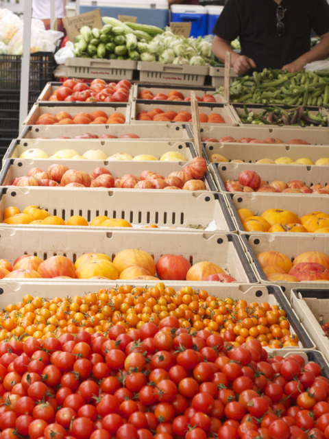 tomatoes at farmer's market