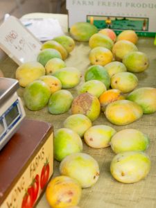 mangos at the farmers market