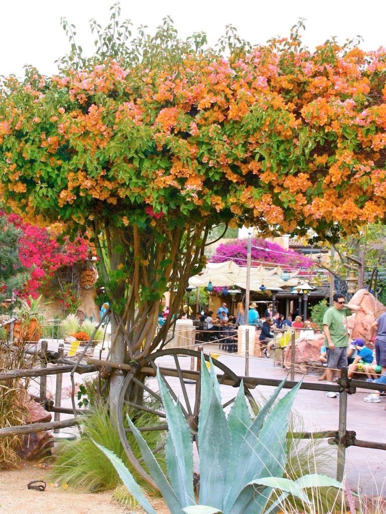 Spring at Disneyland