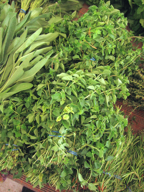fresh oregano at farmer's market