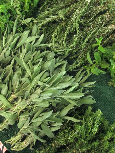 fresh sage and rosemary