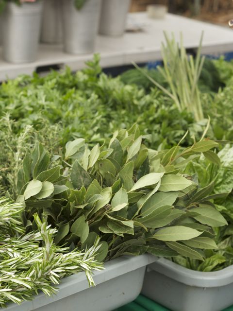 fresh bay leaves