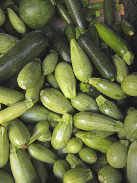 zucchini farmer's market