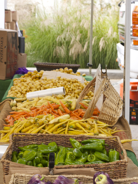 carrots at the farmer's market