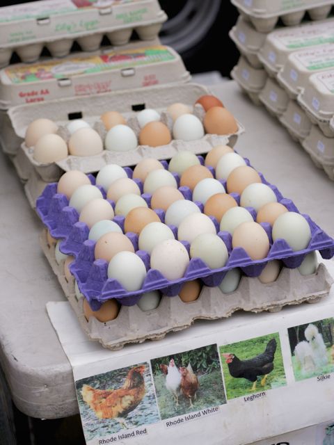 eggs with pics of hens