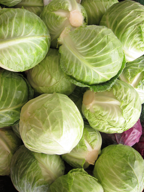 cabbage farmer's market