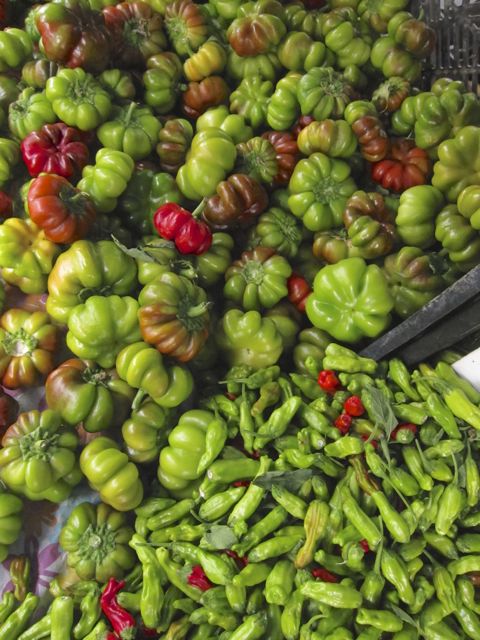 small sweet peppers