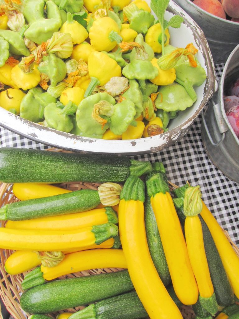 summer squash at the farmers market