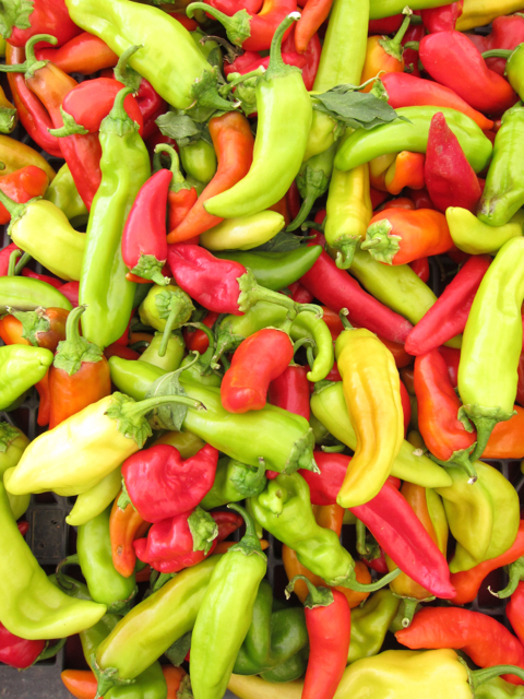 Hungarian sweet peppers