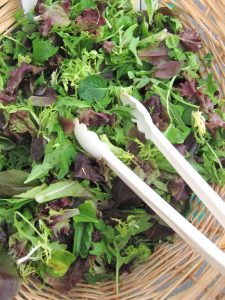 spring salad mix