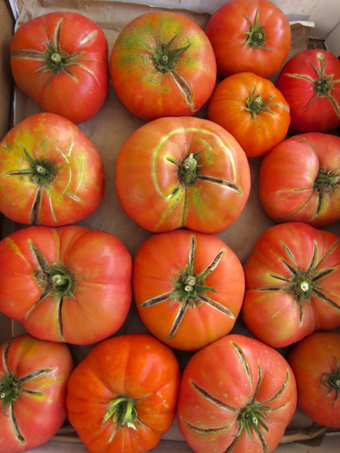 tomatoes at farmer's market