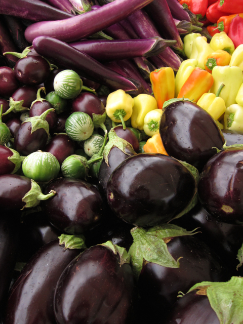 eggplant