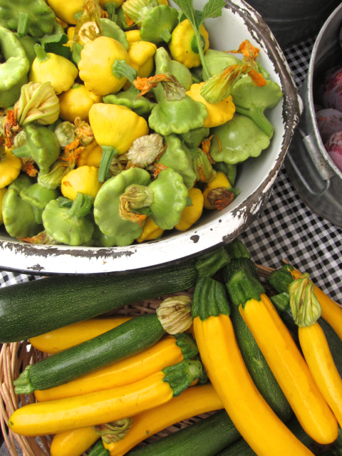 squash