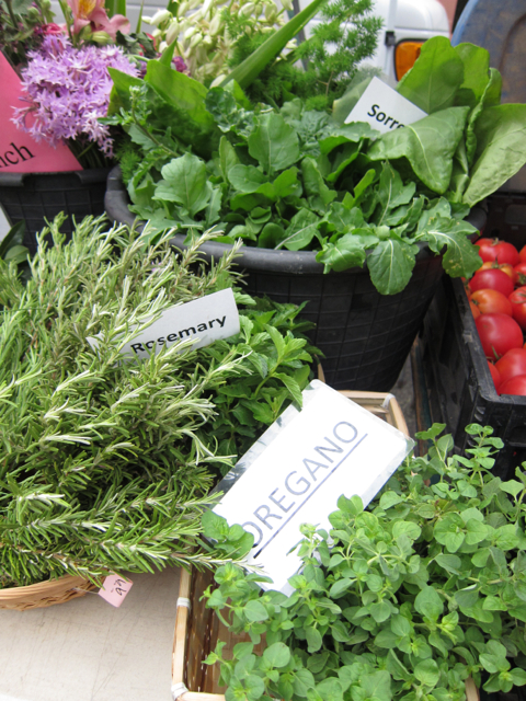 rosemary and oregano at farmer's market
