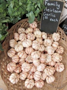 heirloom garlic in a basket