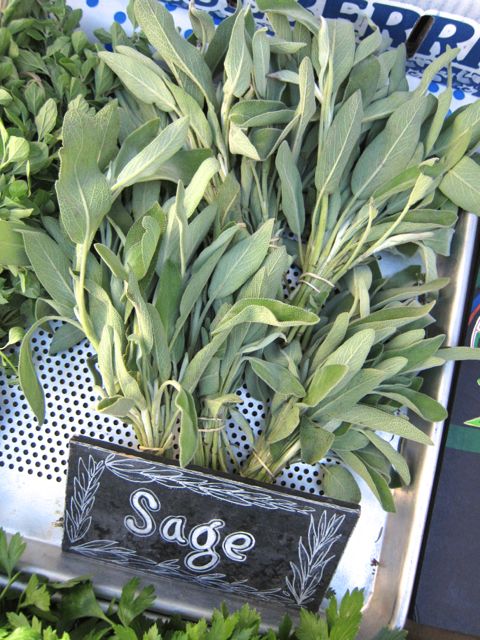 sage