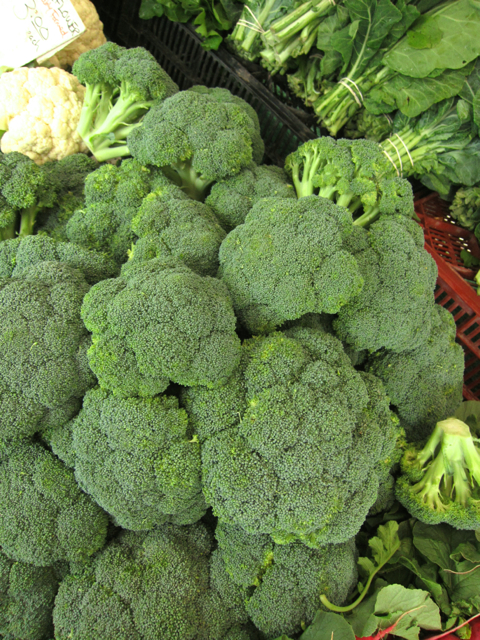 Broccoli