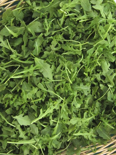 arugula at farmers market
