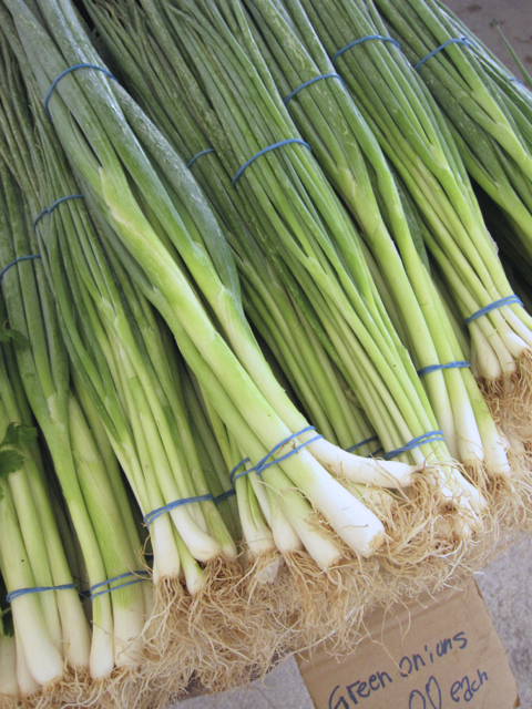 green onions at farmer's market