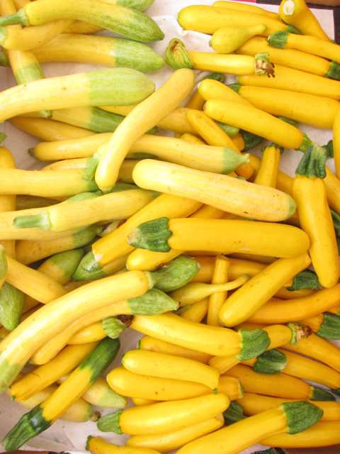 yellow zucchini squash at farmer's market