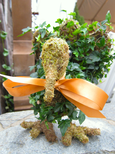 ivy turkey at nursery