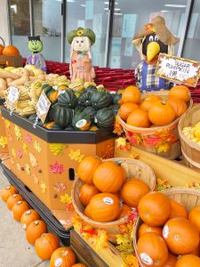 fall decor pumpkins