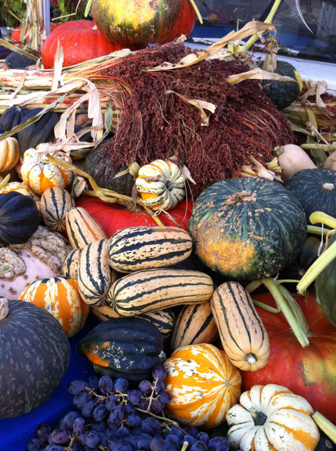 delicate squash at farmer's market