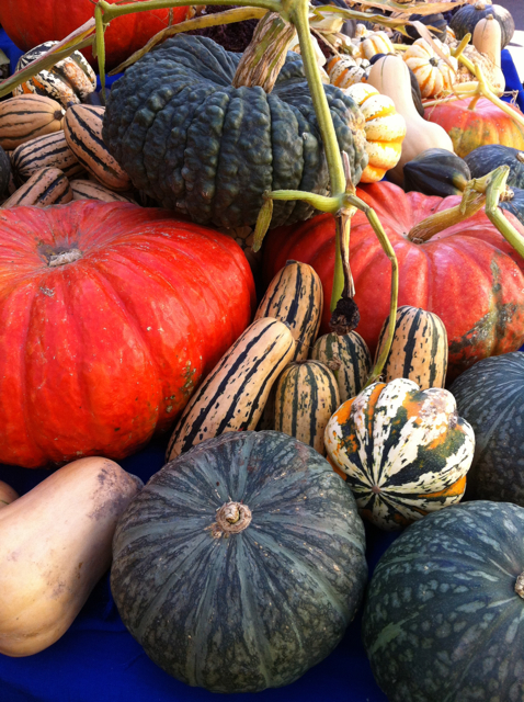 winter squashes at farmer's market