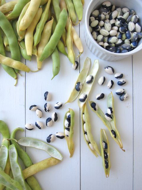 yin yang beans