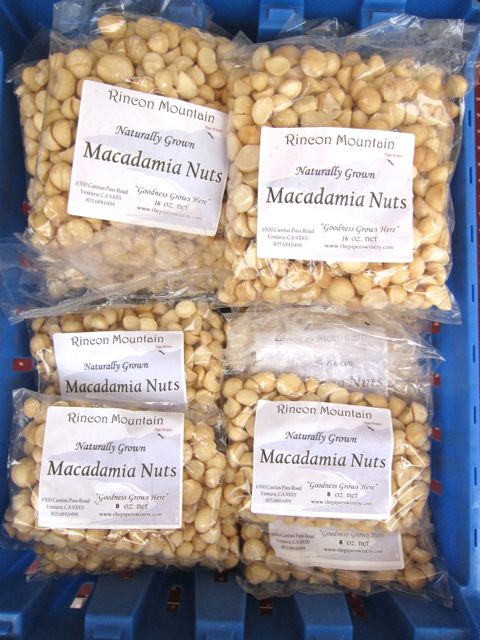 macadamia nuts at farmers market